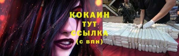 винт Анива